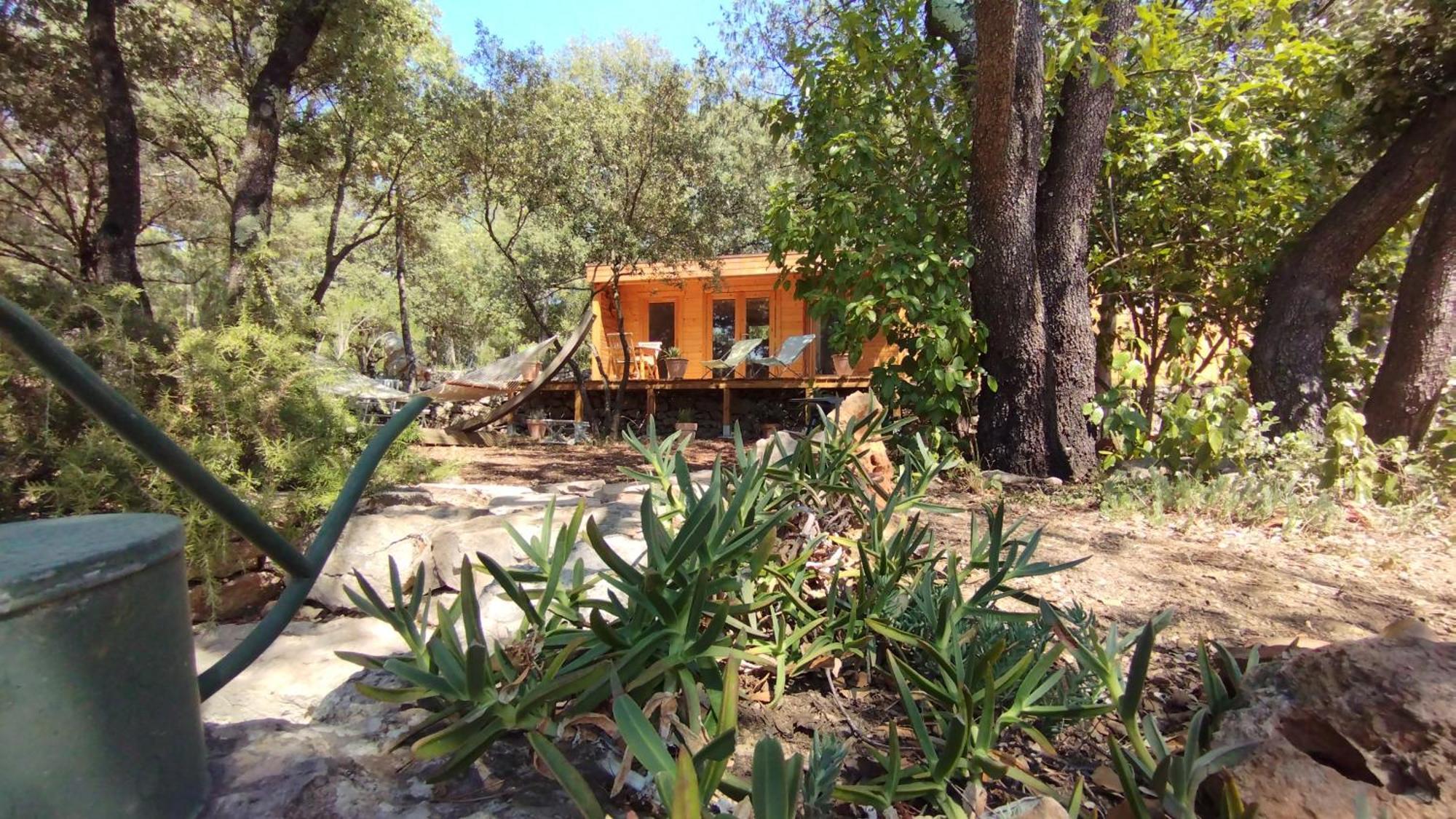 Bed and Breakfast La Bergerie Des Colles Entrecasteaux Экстерьер фото